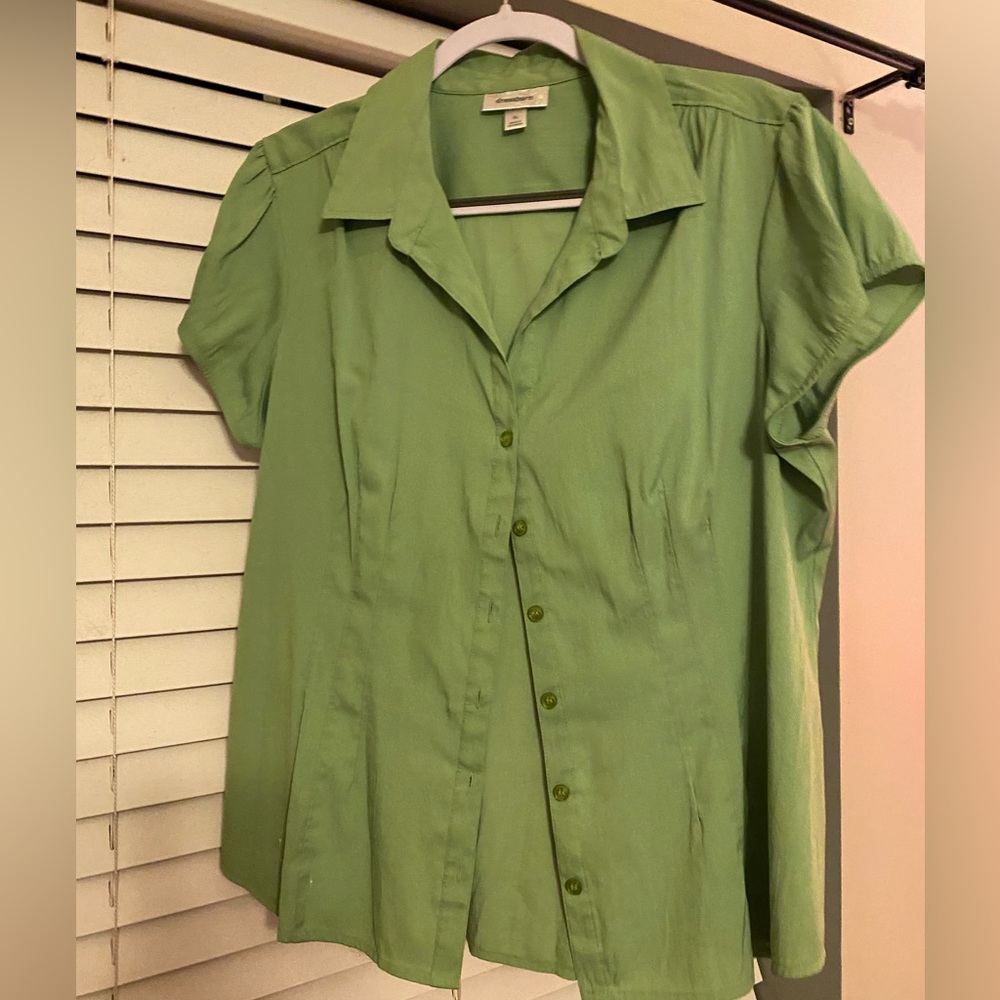 Avocado green blouse